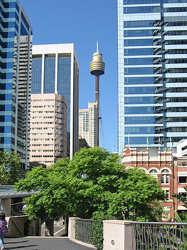 Fotos Sydney Tower