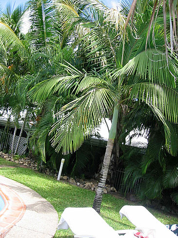 Hotel in Early Beach Fotos