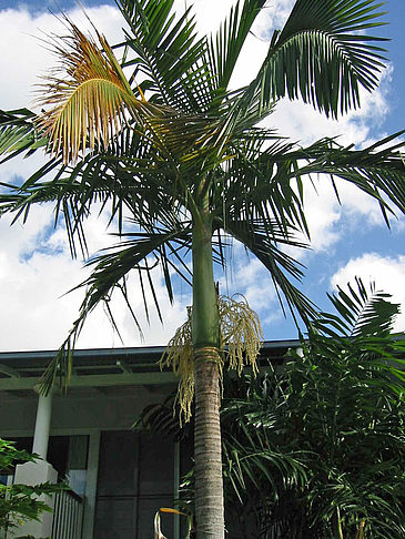 Hotel in Early Beach Fotos