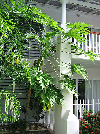 Hotel in Early Beach