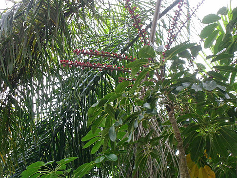 Fotos Billabong Wildlife Park