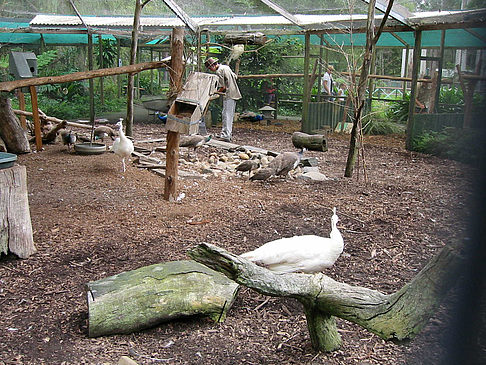 Billabong Wildlife Park - Neusüdwales