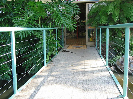Billabong Wildlife Park