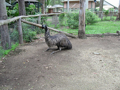 Fotos Billabong Wildlife Park | 