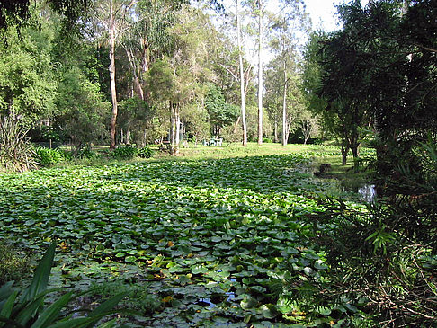 Billabong Wildlife Park