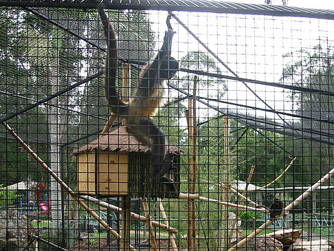 Foto Billabong Wildlife Park - 