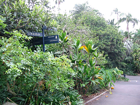 Fotos Botanischer Garten