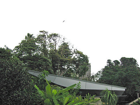 Foto Botanischer Garten