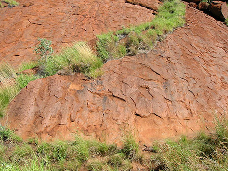 Foto Kata Tjuta und Uluru - 