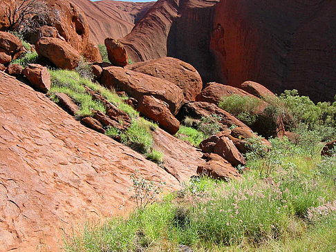 Kata Tjuta und Uluru Fotos