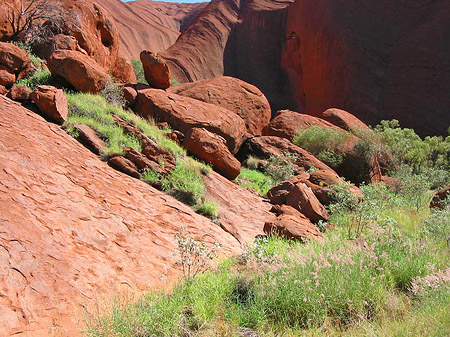 Foto Kata Tjuta und Uluru - 