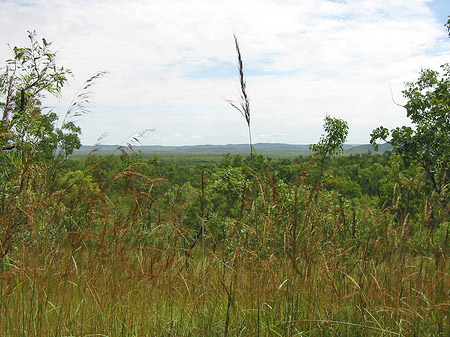 Bukbukluk