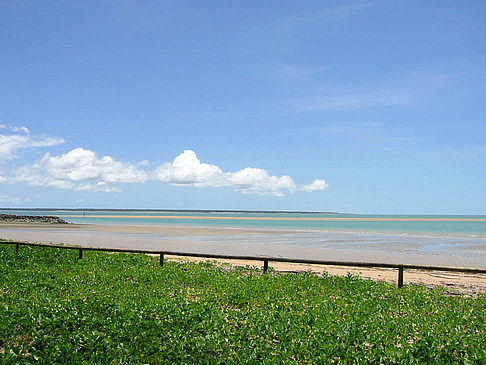 Foto Darwin
