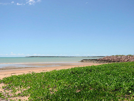Darwin Foto 