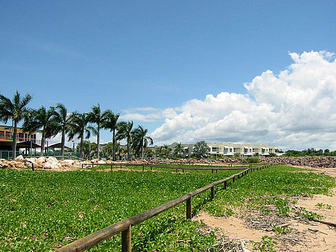Darwin Fotos