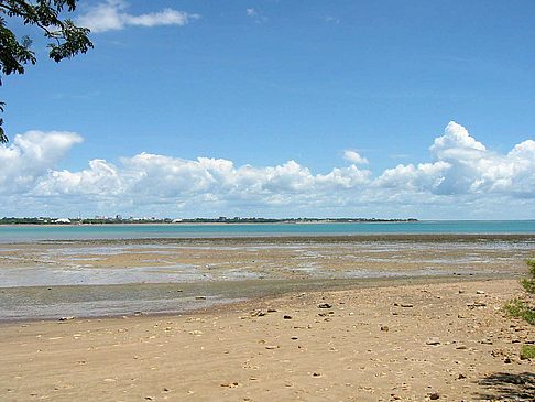 Fotos Darwin | 