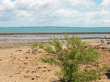 Darwin Fotos