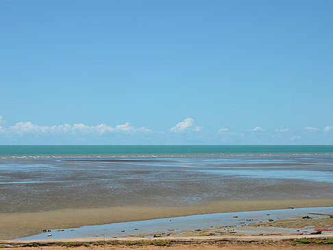 Foto Darwin