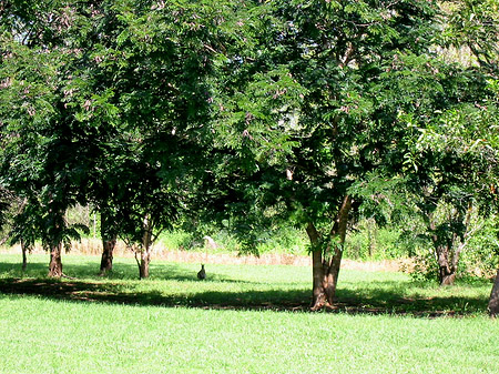 Fotos Darwin | 