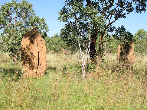 Nationalpark Kakadu Fotos