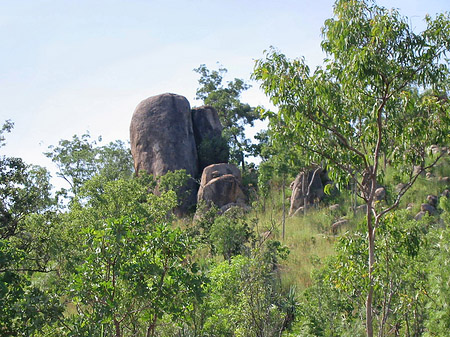 Fotos Nationalpark Kakadu | 
