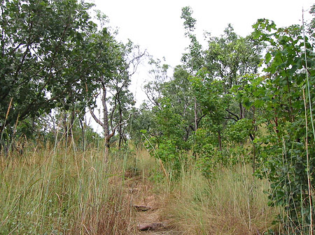 Nationalpark Nitmiluk