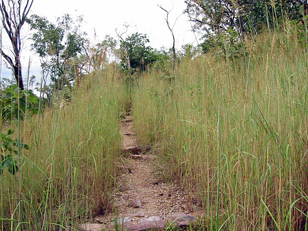 Foto Nationalpark Nitmiluk