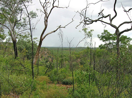 Nationalpark Nitmiluk Fotos