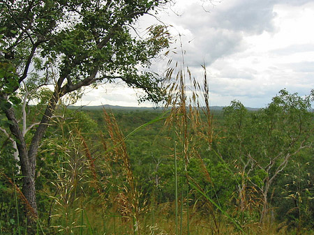 Foto Nationalpark Nitmiluk