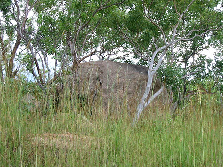 Nationalpark Nitmiluk