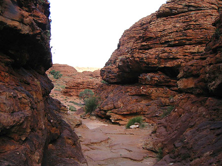 Felsen