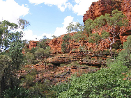 Foto Kings Canyon