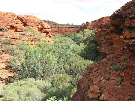 Fotos Kings Canyon