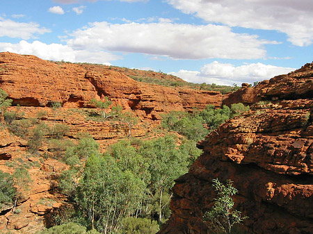 Fotos Kings Canyon