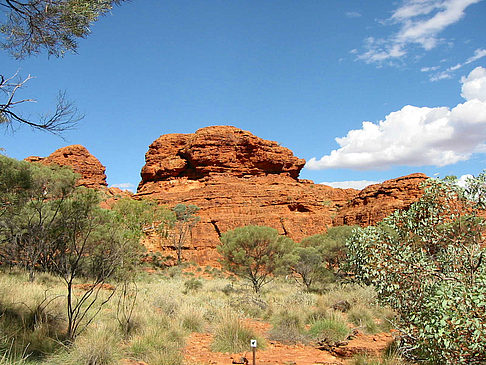 Kings Canyon