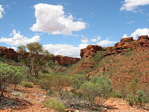 Foto Kings Canyon