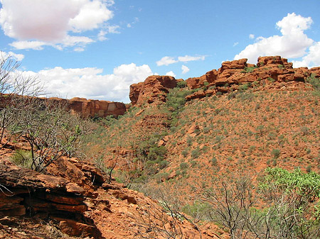 Fotos Kings Canyon | 