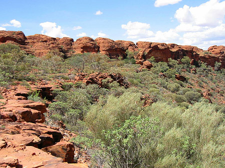 Fotos Kings Canyon | 