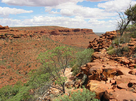 Foto Kings Canyon