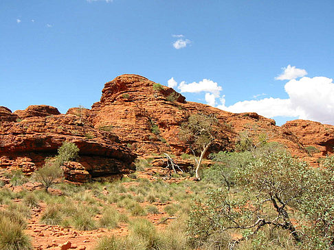 Fotos Kings Canyon