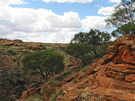 Kings Canyon
