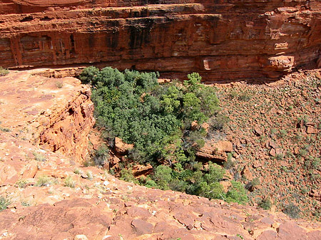 Fotos Kings Canyon