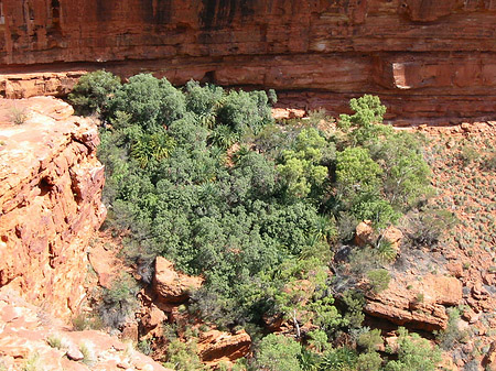Fotos Kings Canyon | 