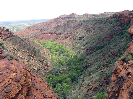 Fotos Kings Canyon | 