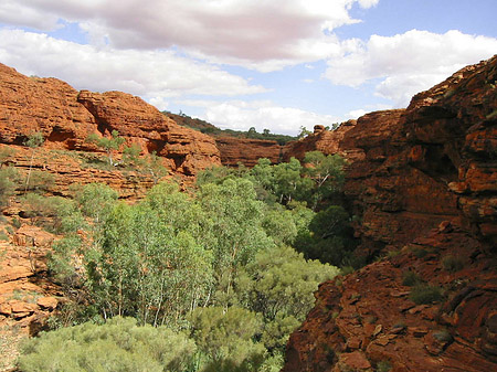 Kings Canyon
