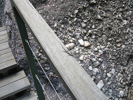 Felsen Foto 
