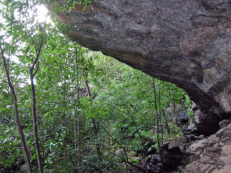 Foto Felsen