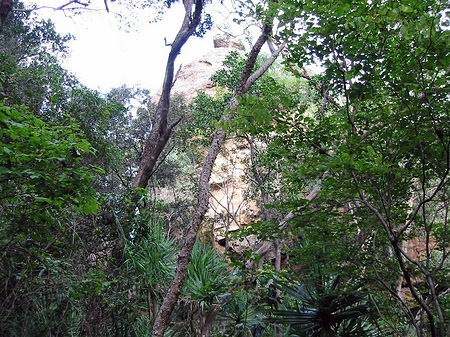 Felsen Fotos