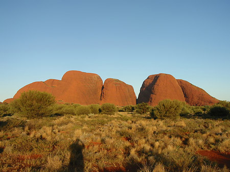 Kata Tjuta Foto 