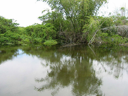 Foto Überschwemmung